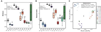 Linking ecological niches to bacterial community structure and assembly in polluted urban aquatic ecosystems